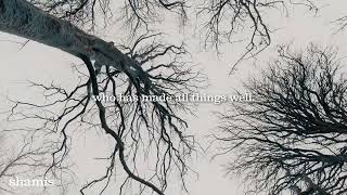 All Things Bright and Beautiful – The Timeless Nature Poem That Celebrates God’s Creation