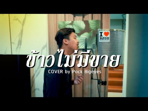 ข้าวไม่มีขาย - พ็อก บิ๊กอายส์【COVER VERSION】| Original : ศรเพชร ศรสุพรรณ