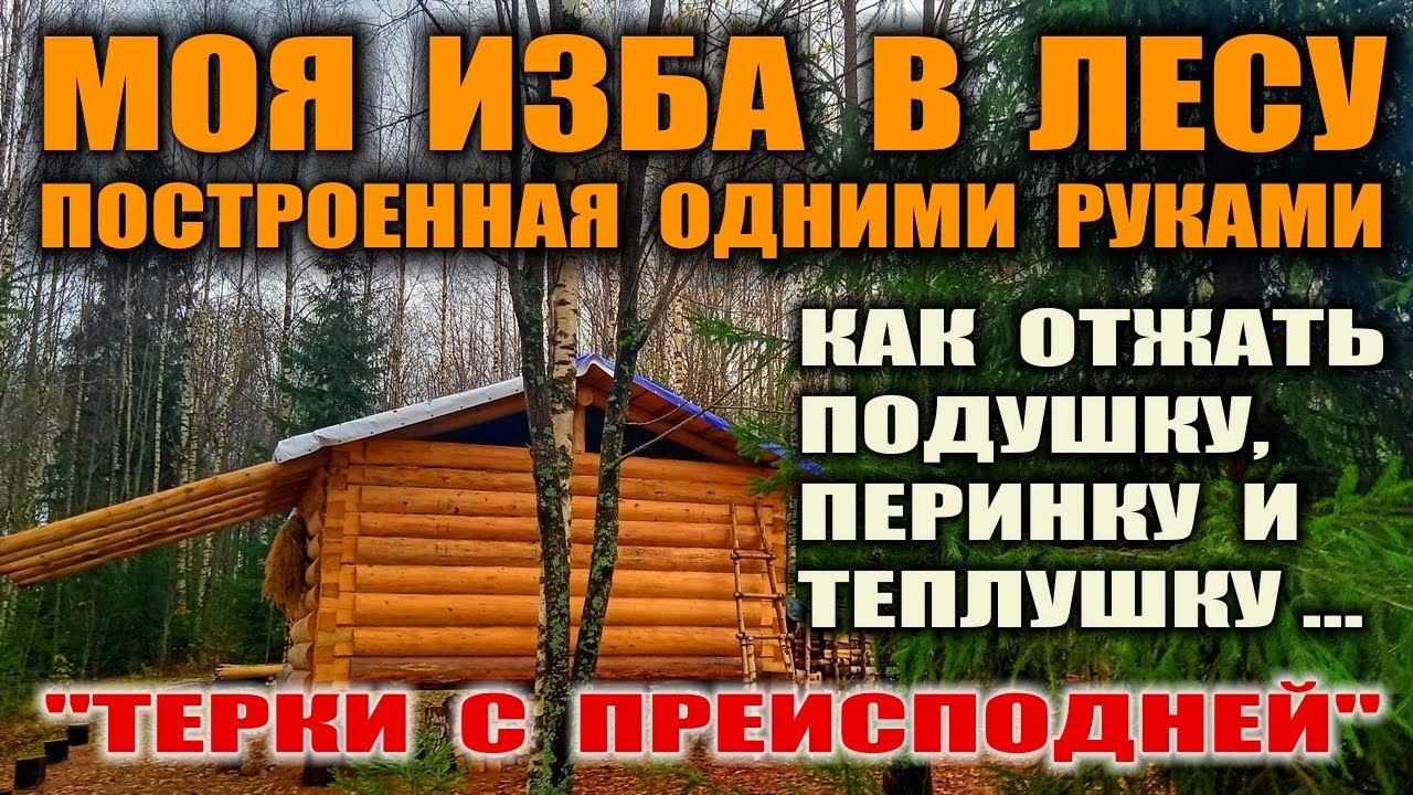 Моя изба в лесу. Как сделать утеплитель из мха?