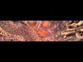 Cellular Communication and Repair Processes