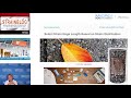 Strain Gauge Measurement Concepts