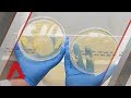 Bacteria and Hygiene Practices