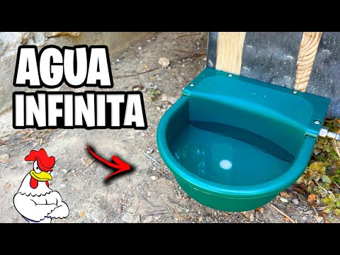 Como Hacer el Mejor BEBEDERO AUTOMÁTICO para GALLINAS! 🐔 AGUA LIMPIA y GRATIS | La Huerta de Ivan