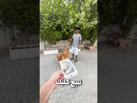 تبيع كلبك مقابل ايفون