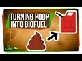 Purple Bacteria and Cyanobacteria Insights
