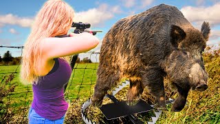 MONSTER WILD BOAR BROKE HER TRAP!