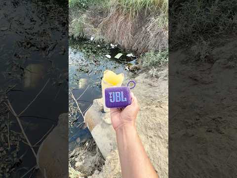 JBL Go4 drop in puliya by pipe