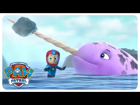 Ryder Must Save the Narwhal 🌊 | PAW Patrol | Cartoons for Kids