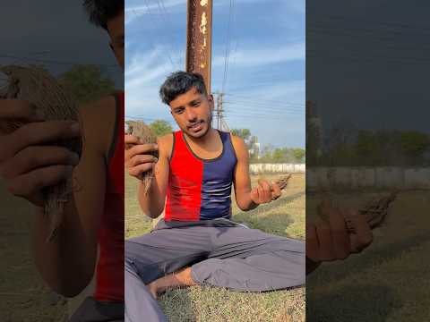 एक पागल की कहानी 🥹❤️ #cricket #reels #trending #viral #ytshorts #shorts #cricketlover #top #foryou