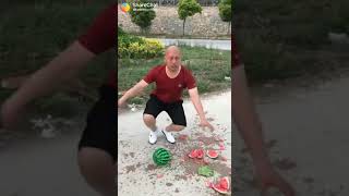 Funny vedeos