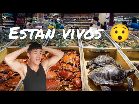 En este SUPERMERCADO de CHINA venden todo VIVO!!