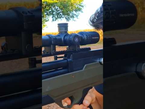 🚨Slugs Avelar 5.5 x PCP Behemoth Slugs