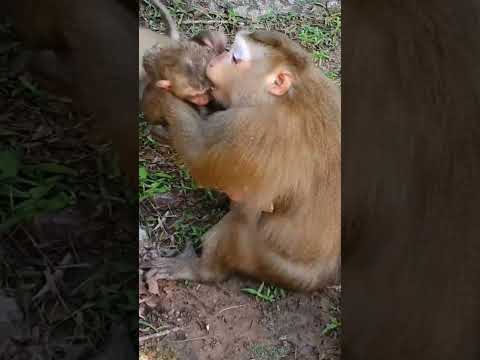 Mom angry baby.