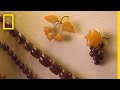 Amber: The Gemstone of Kaliningrad