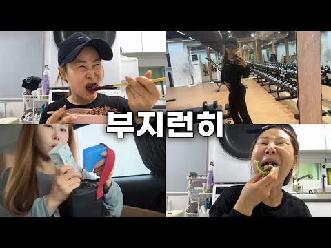 [-20kg 다이어터] 야무지게 사는 방법