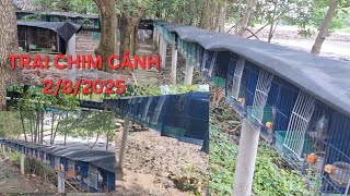 Trại chim quốc 69 ngày 2/8/2025. Chúc tất cae anh em xem clip vui vẽ. (Tiếp sức đam mê)