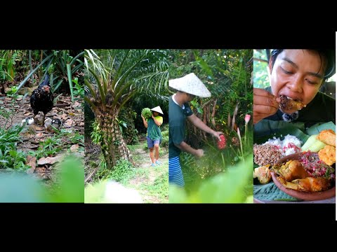 MEMASAK AYAM KAMPUNG DAN SAMBEL KECOMBRANG #asmr #food #villagelife #village