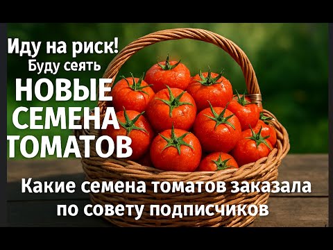Какие семена томатов стоит заказать проверяю ваши советы на практике!