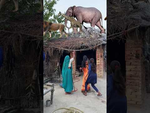 "घर की छत पर बना जंगल! जानवरों को देख सास-बहू और पूरा परिवार हुआ फरार 😭#reetavlogs #shorts