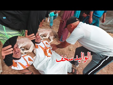 مشينا نشريو الحاولي ديال عيد الاضحى وهرب لينا بسباب الواليد هههه