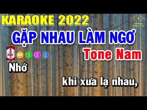 Gặp Nhau Làm Ngơ Karaoke Tone Nam Nhạc Sống | Trọng Hiếu