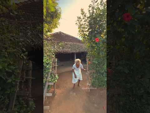 ഇന്നലെകളിലെ കേരളത്തിന്റെ ഗ്രാമത്തനിമ ഇന്നും നിലനിർത്തുന്ന കൊല്ലങ്കോട്! 💚 #photography #kollengode