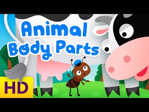 Animal Body Parts | Song