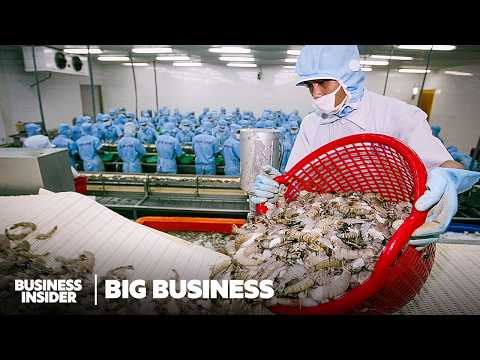 YouTube video thumbnail: How Radioactive Shrimp May Have Gotten Into America