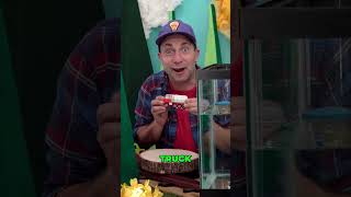 Do Wooden Trucks Sink or Float Fun Water Experiment for Kids #toddleractivities #toddlerlearning