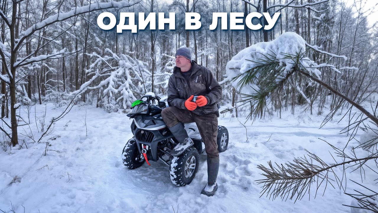 Один в лесу, наступили холода. Волки бродят в поисках добычи. 374
