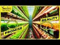 Vertical Farming Concepts and Challenges