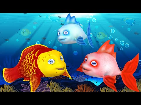 Three Fishes Bengali Story - তিনটি মাছ বাংলা গল্প 3D Animated Bangla Cartoon Moral Stories for Kids