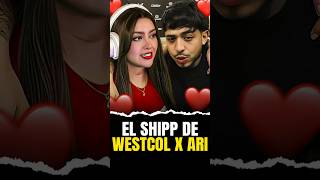 Los fakes de los fans de WestCol shippeandolo con AriGameplays.