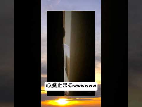 暗闇で旦那待ち伏せしたら心臓にダメージ負ってたwwwwwwwww #おもしろ #元気お届け #ドッキリ #イケメン