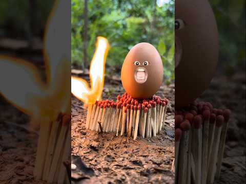Survival Skills: Simple But Very Useful With Jungle Egg Recipe #survival​ #shorts​ #bushcraft​