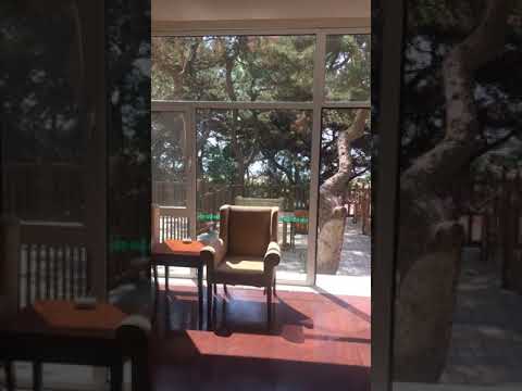 Транспортная 3*, корпус №10, номер с просторной террасой на первом этаже