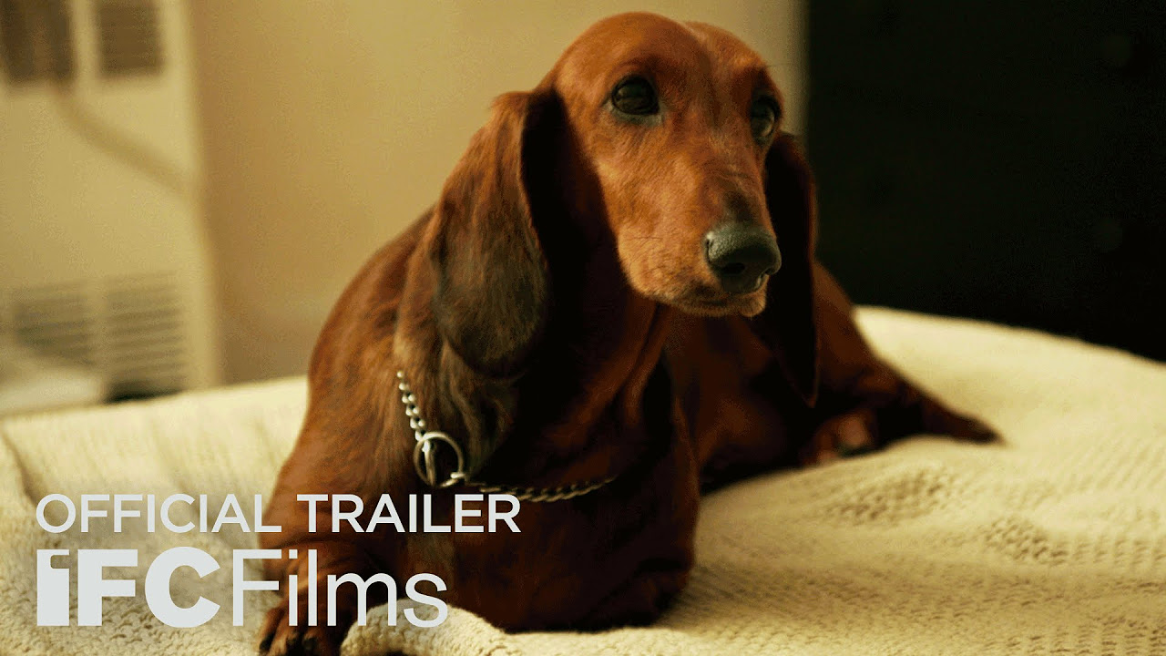Wiener-Dog Trailer thumbnail