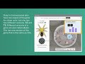 Exploring Spider Traits Through Natural Selection