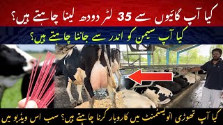 Cows say 35 L milk lain II Semen parhna seekhain II Investment model seekhain II Dr. MUZZAMMIL 