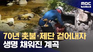 대구 팔공산 무속인들 기도터 철거하자‥멸종위기생물 담비 돌아와 (2026.09.06/뉴스데스크/MBC)