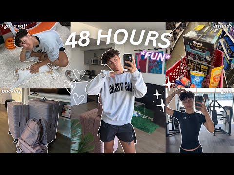 48 Hours In My Life: New Cat, Living Alone, Errands, Friends