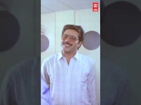 അയ്യോ പാമ്പ്... 🤣🤣 Kalikkalam | Mammootty | #shorts