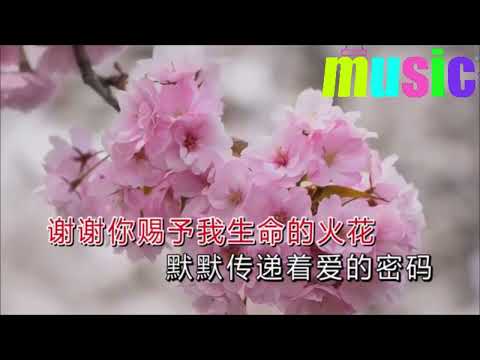 王馨-報答KTV 伴奏 no vocal 無人聲 music 純音樂 karaoke 卡拉OK 伴唱王馨-報答