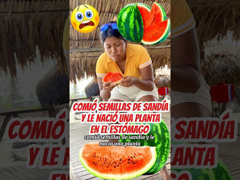 LE NACIÓ Unan planta EN EL ESTÓMAGO #shortvideo #humor #youtubeshorts #comedia #reelsfb