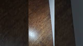 910 sterling court splatters 2