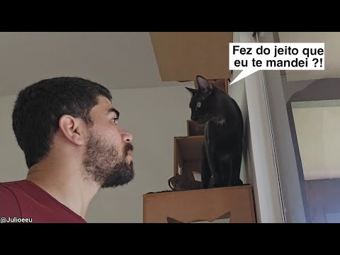 Pra mim foi uma oportunidade, pro Júlio foi um plano  kkkkkkkkkk   #Vlog