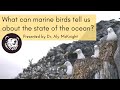 Wild Maine Series: Understanding Marine Birds and Ecosystems