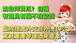 沈伯洋賣瓜？自稱有遠見、有腦、不說空話｜監院證實外交部外洩13公文！驚見蕭美琴運酒免查案 🍓20260630 #高雄林小姐 #Vtuber​​​​ #台灣Vtuber​​​ #台V