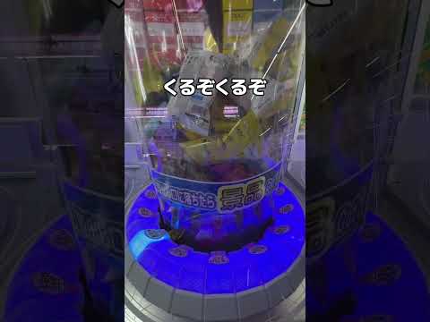 #クレーンゲーム #ufoキャッチャー #shorts #short #shortvideo #shortsfeed  #ROUND1 #ﾍﾞﾈｸｽ #クレゲ #フィギュア #ぬいぐるみ #ゲーム