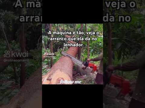 A motosserra Stihl profissional dá um arranco no lenhador #woodstatue #automobile #viralvideo